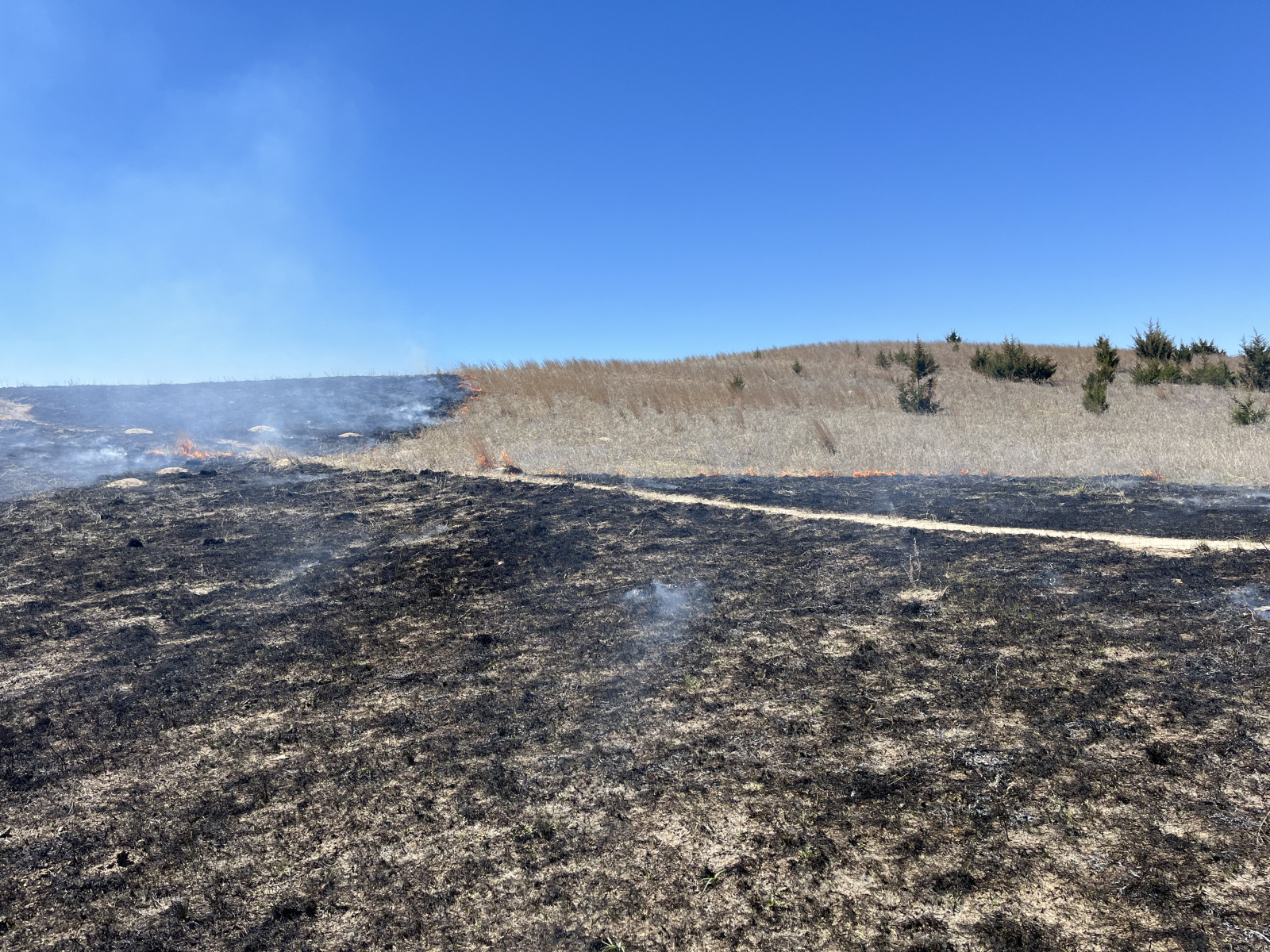 Barta Brothers Ranch starting to see results of prescribed burns