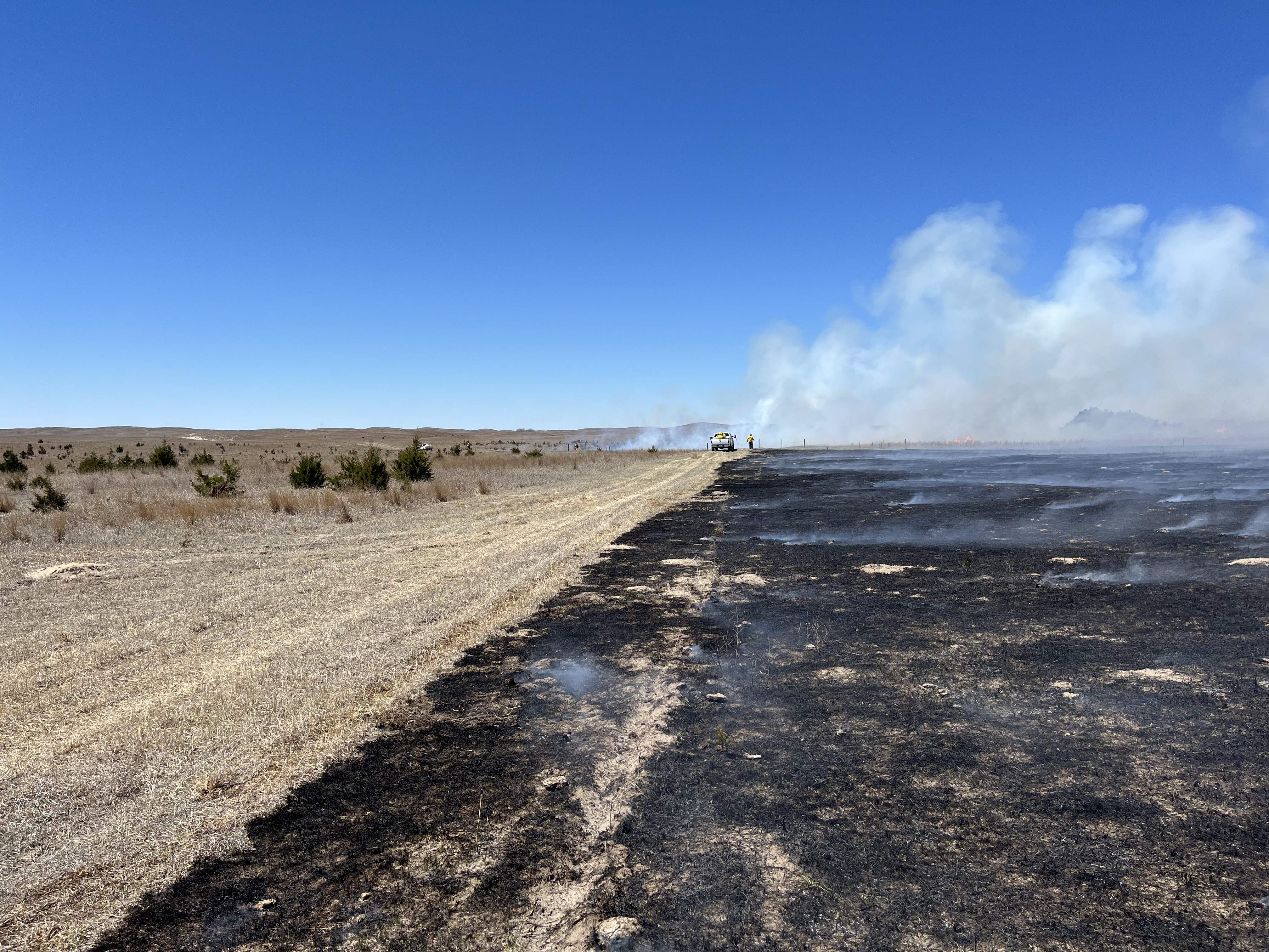 Photo Showing Burned land next to non-burned land during the 2024 prescribed burn at Barta Brothers Ranch.