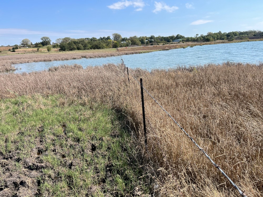 Barbed wire fence dividing green grass and dry reeds near a lake under a blue sky.