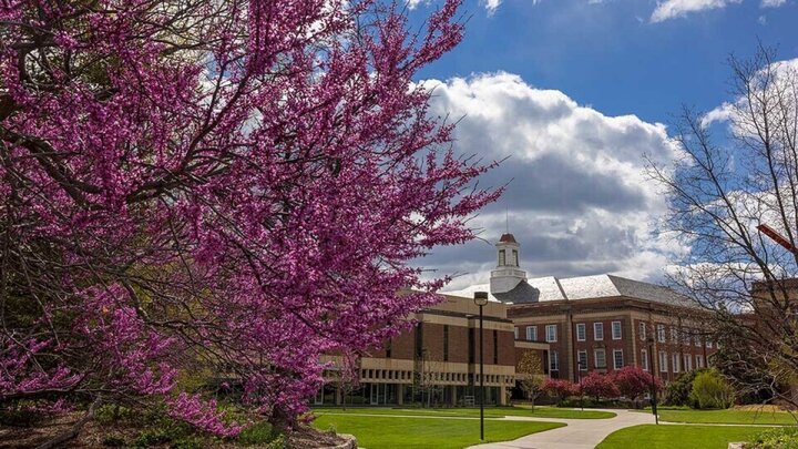 UNL City Campus in spring