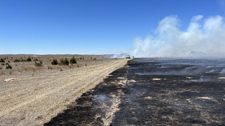 Photo Showing Burned land next to non-burned land during the 2024 prescribed burn at Barta Brothers Ranch.