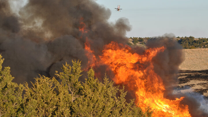 Nebraska scientists use drones to help manage grasslands invaded by redcedar trees. Photo by Craig Allen