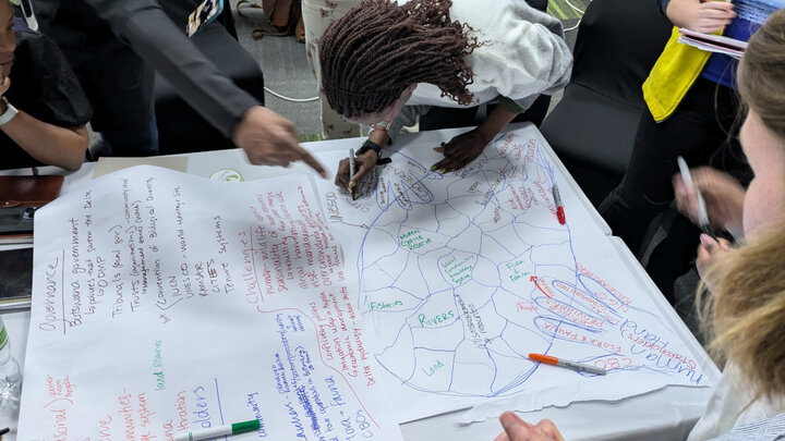 African and U.S. attendees created “situation maps” In Gwendwr Meredith’s session at the INSAKA symposium in Botswana, Africa, May 27-31, 2024.