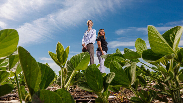 Craig Allen and Tala Awada in Field