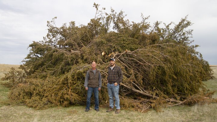Kyle Martens and a landowner with a pile of redcedars