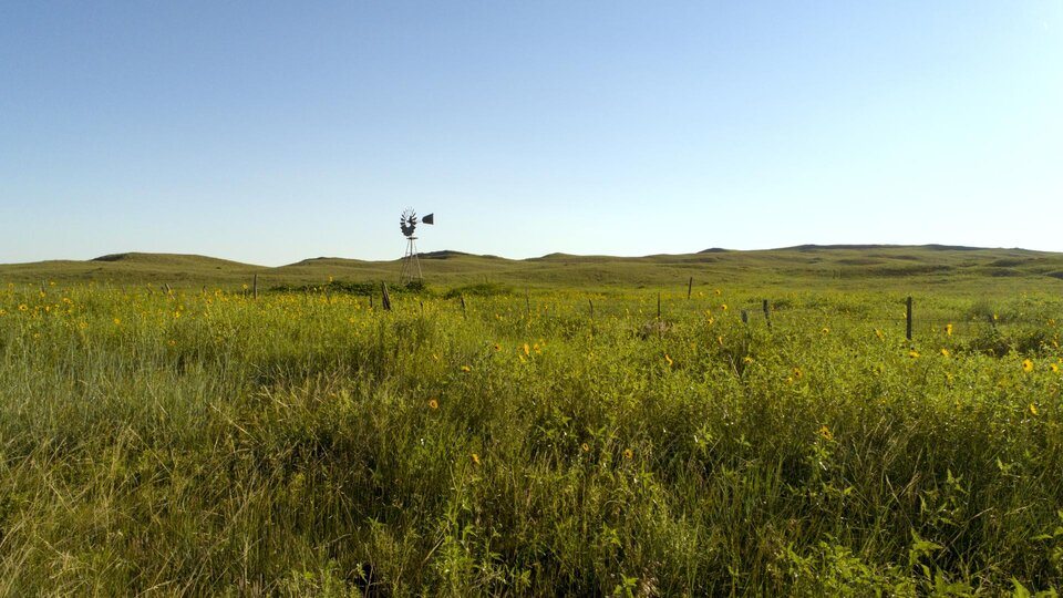 photo of windmill in the sandhills