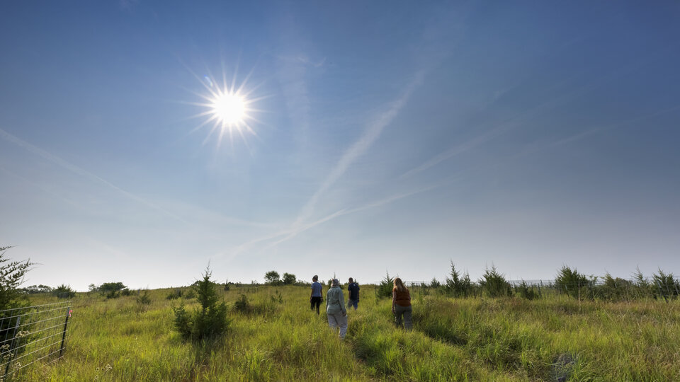 students walking in the Reller Prairie