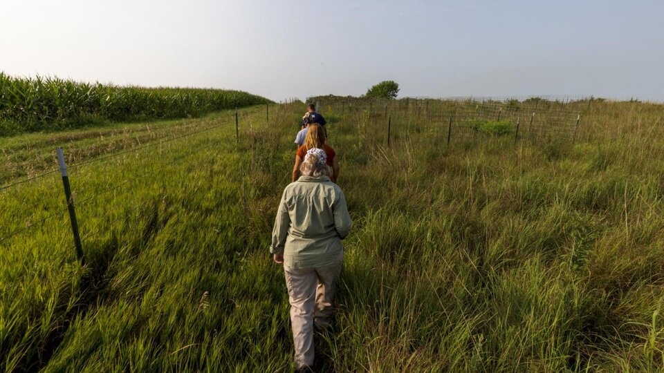 Students walking in Reller Prairie