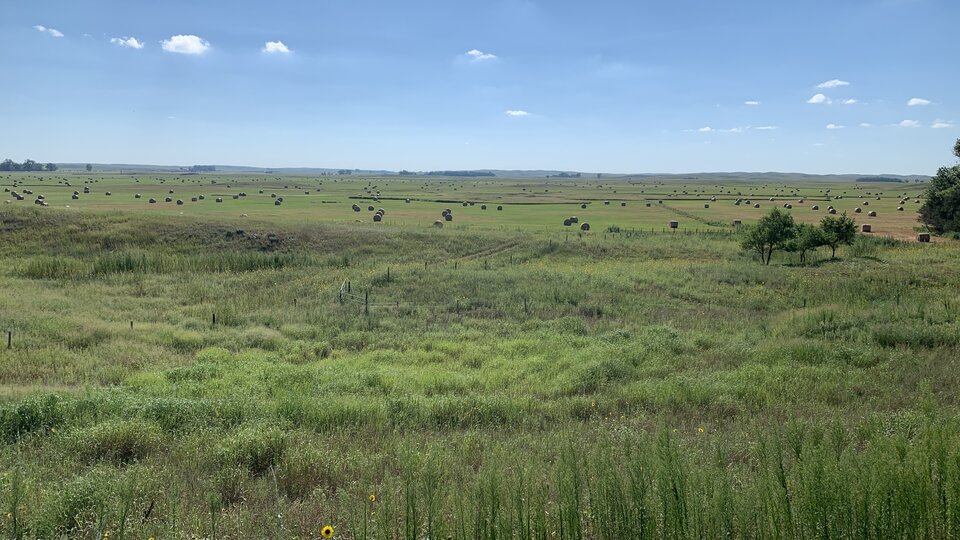 Barta Brothers Ranch land