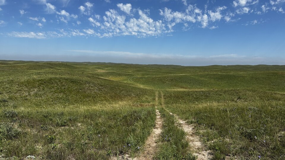 trail at Barta Brothers Ranch
