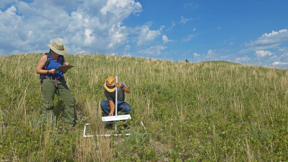 Doctoral student Katharine Hogan works with another student on an ecology project in the Sandhills.