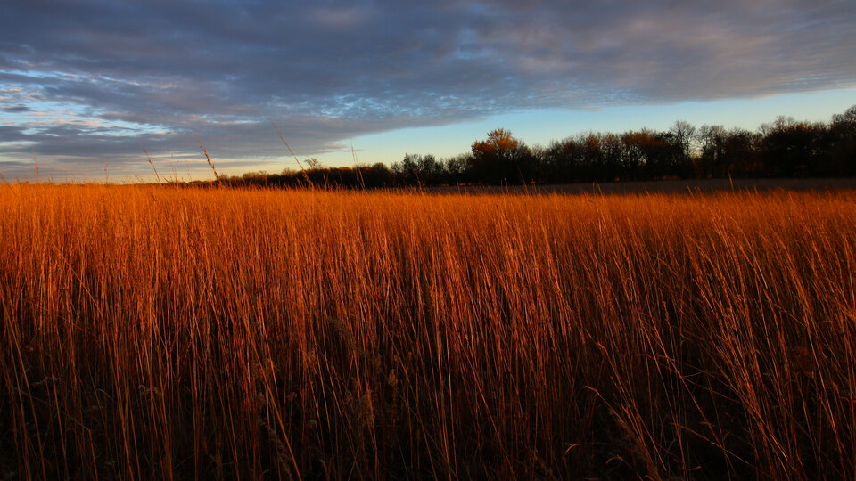 prairie at sunset