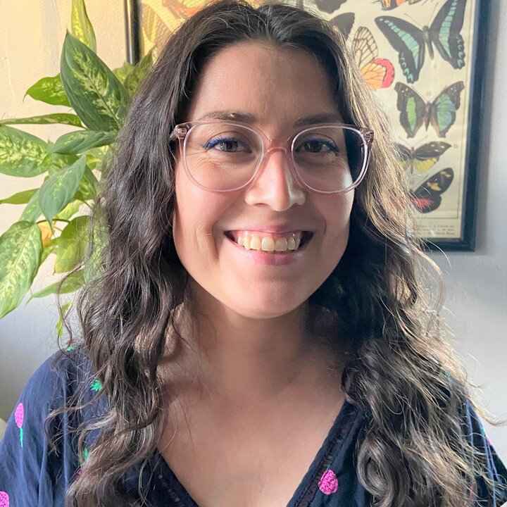 Avatar for Araceli Gomez Villegas