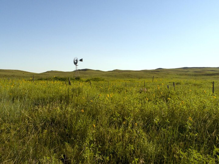 photo of windmill in the sandhills