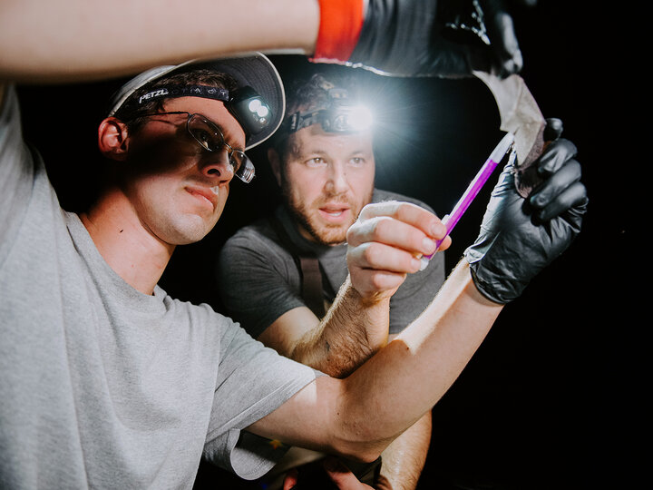 photo of research being performed on a bat