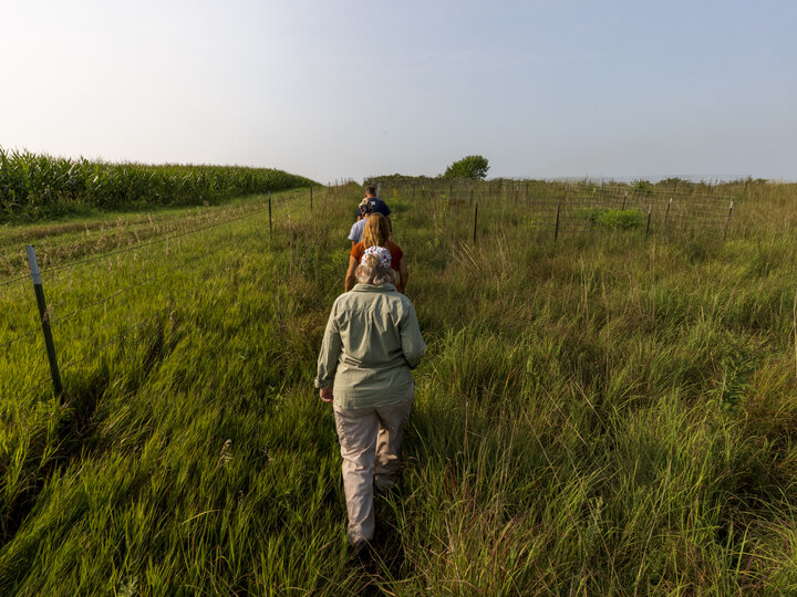 students walking in the Reller Prairie