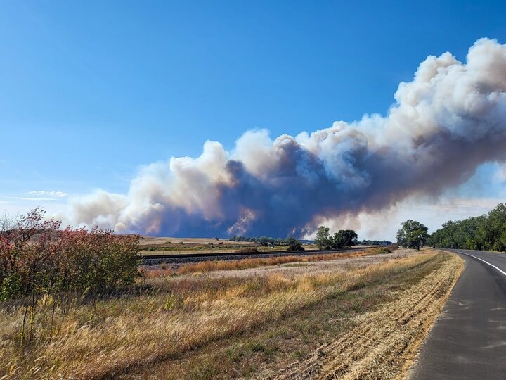 Wildfire in Bovee