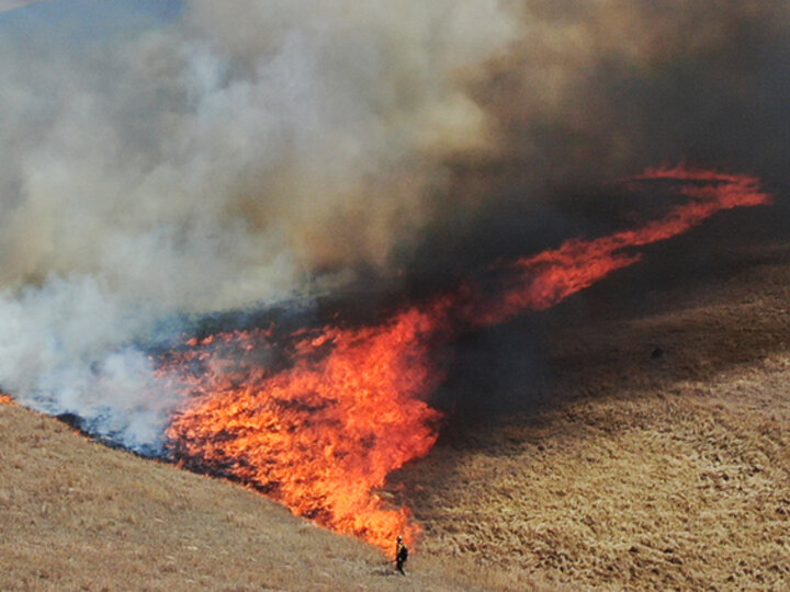 Prescribed burn at the Barta Brothers Ranch