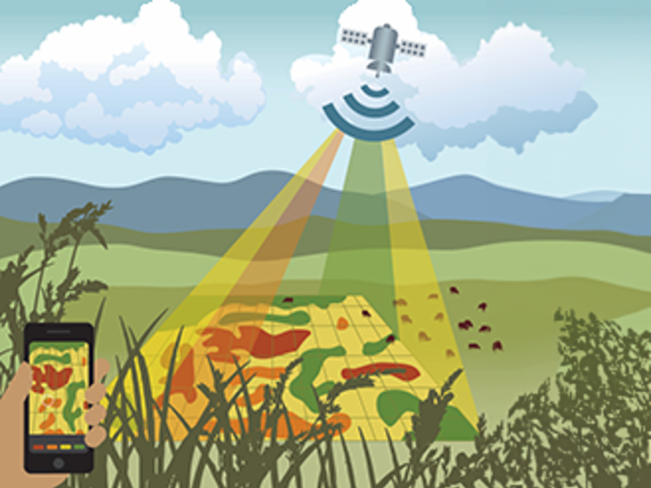 Rangeland Analysis Platform example