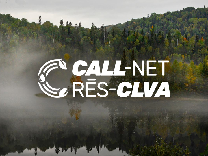 Call Net Logo