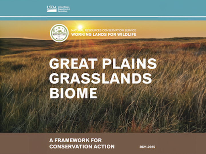 Working Lands for Wildlife: Great Plains Grassland Biome image