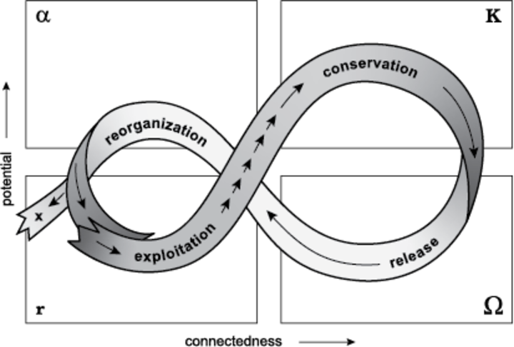 Adaptive Cycle Model