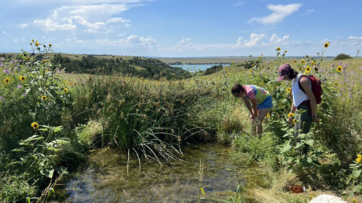 Olson and a student, Lindsey Blehm, look for organisms to bring back to the lab and study at Cedar Point Biological Station in summer 2023.