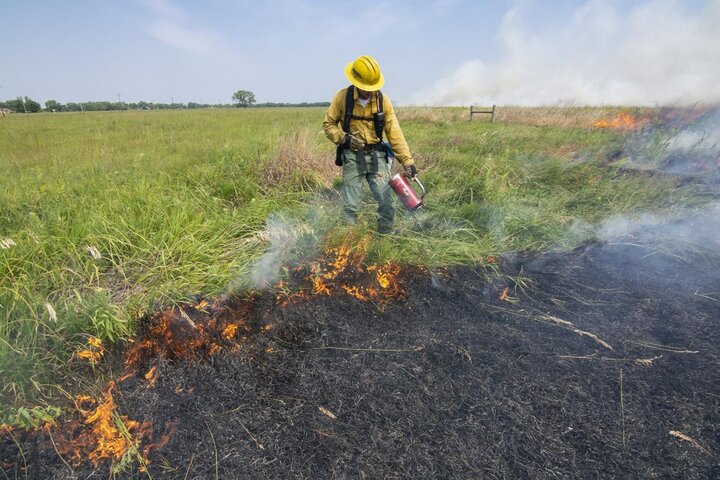 A conservancy worker burns a patch of land that cattle will then graze as part of a strategy to build resilience in agricultural land.