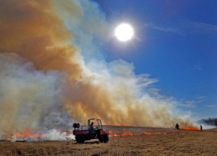 The conservancy uses fire and rotational grazing to create a "shifting mosaic" on the land.
