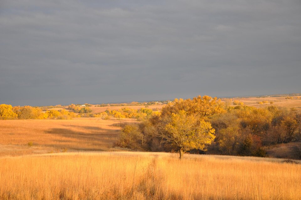 Denton Grasslands in the fall